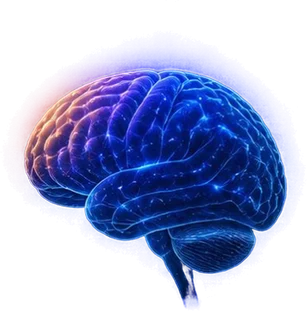 A glowing brain beneath an arc from sunrise to moonrise